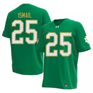 Green Raghib Ismail #25 Fighting Irish Jersey | Men High School Football Limited Swen 97797454