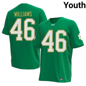 Green Matt Williams #46 Fighting Irish Jersey | Youth High School Football Limited Swen 14896276
